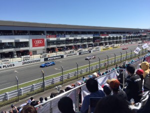 IMG_2230