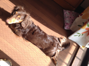 blog01
